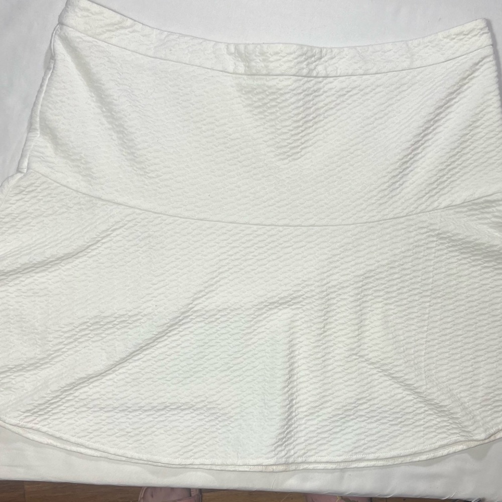 Ann Taylor Loft Skirt